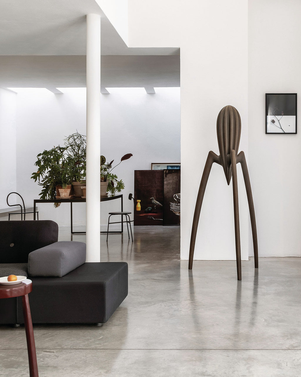 JUICY SALIF XXL 1.87M
